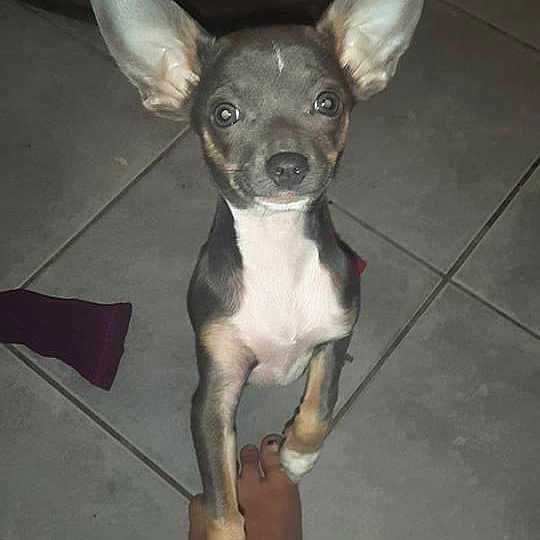 Jewell a rejoint le concours — aidez-le/la à gagner de superbes lots !