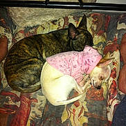 Hava participe au concours pour gagner de l'argent avec cette photo :