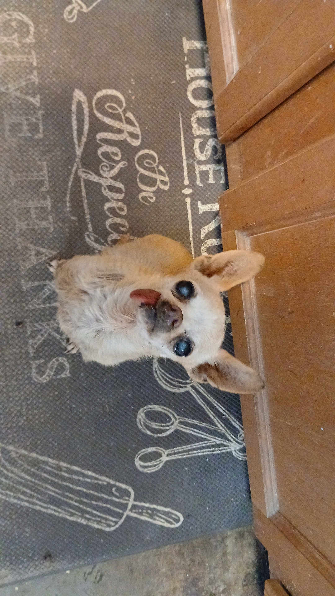 Chiquita