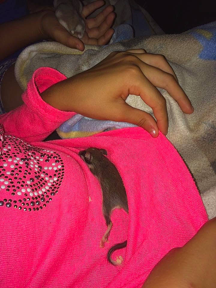 Nuts a rejoint le concours — aidez-le/la à gagner de superbes lots ! arm, finger, flesh, fun, hand, hip, joint, leg, lip, magenta, mouth, muscle, nail, neck, pink, shoulder, textile, thigh, thumb, trunk