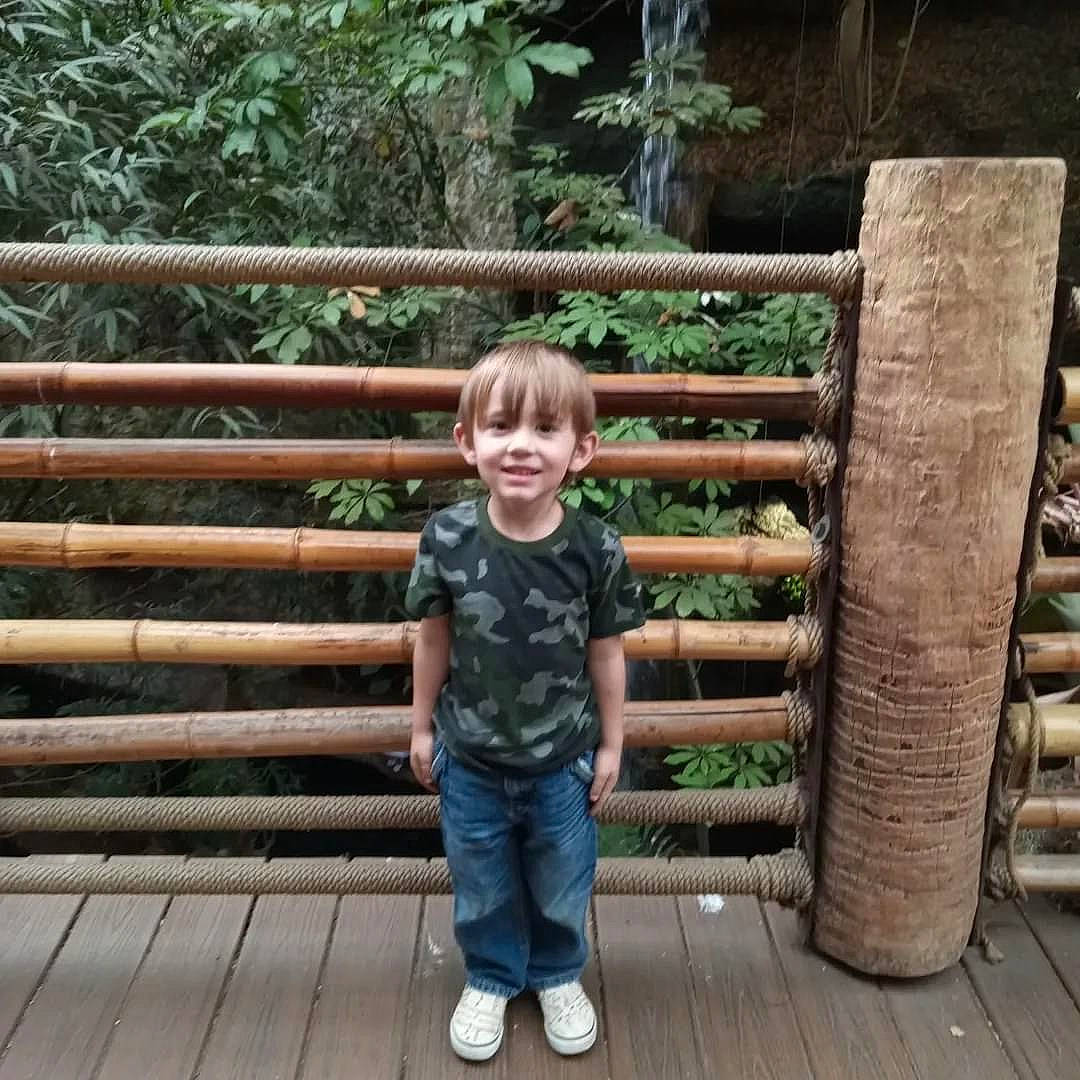 Jonathan joined the competition — help win amazing prizes! botany, child, deck, fence, fun, grass, happy, hardwood, joy, landscape, leisure, people_in_nature, person, plant, shorts, sitting, smile, t_shirt, toddler, tree