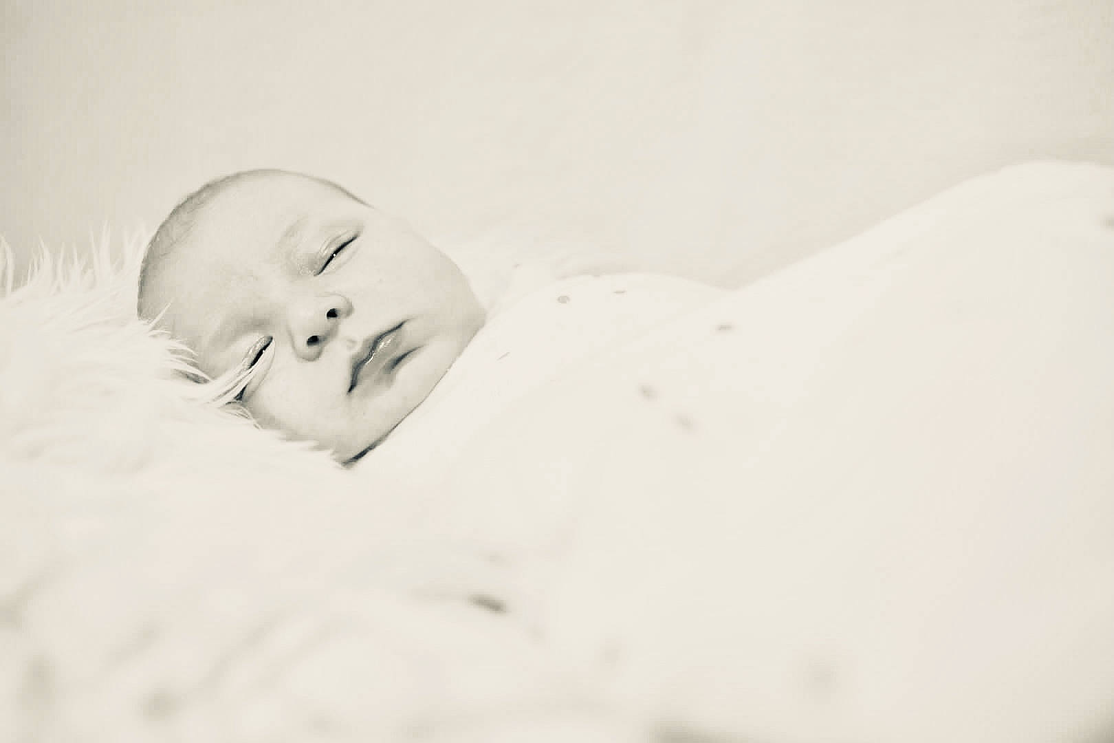Lyam a rejoint le concours — aidez-le/la à gagner de superbes lots ! art, baby, bedding, bedtime, child, comfort, drawing, event, eye, fur, happy, head, human_body, linens, monochrome, monochrome_photography, person, portrait, portrait_photography, still_life_photography