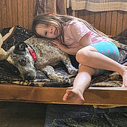 Aggie is registered to the contest to win money with this photo: animal, barefoot, blanket, blue_shorts, brindle_dog, child, cozy, curtains, cushion, dog, face, girl, indoors, lying_down, pet, pink_shirt, portrait, window, window_seat, wood_paneling