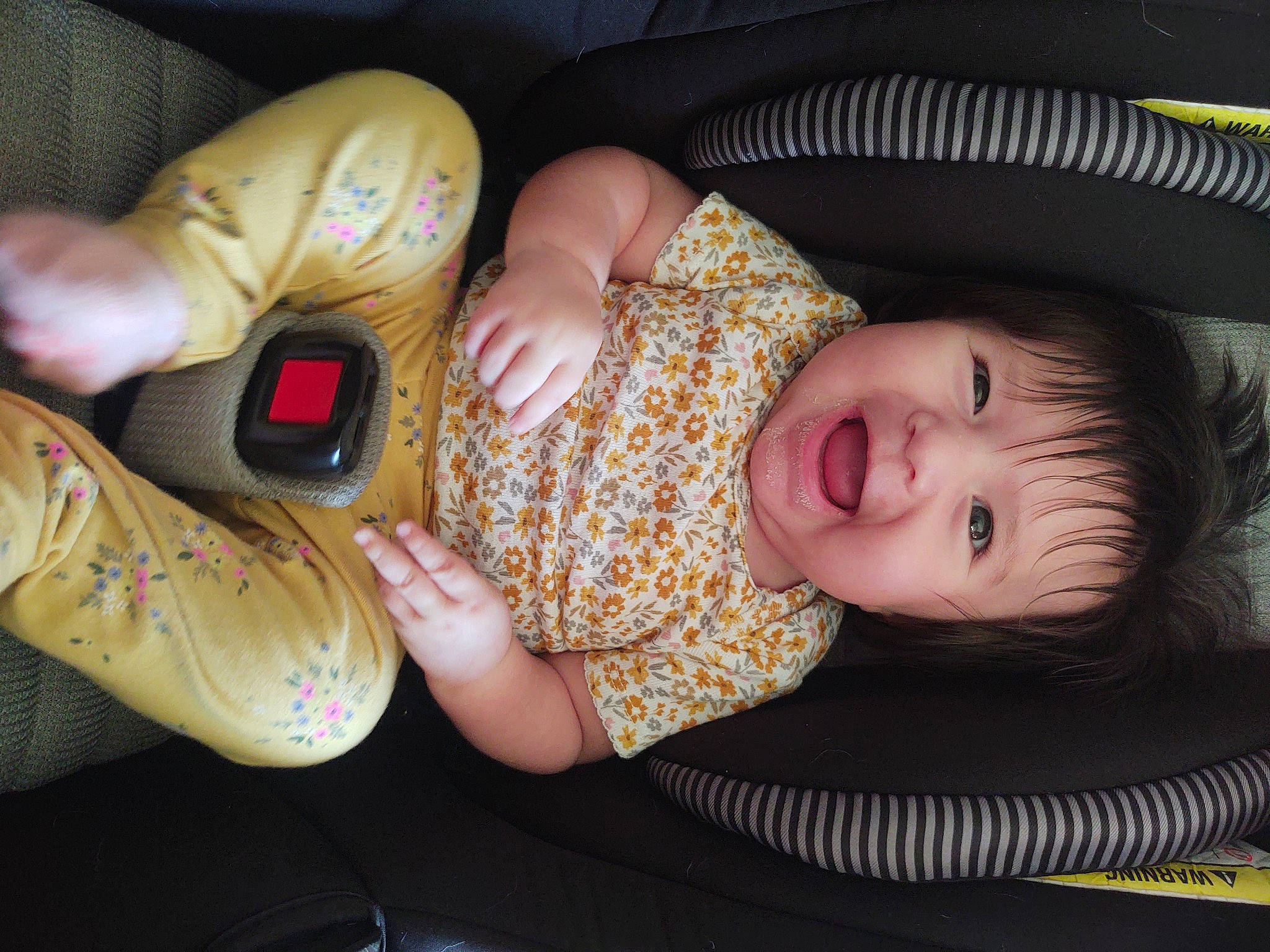 Maria is registered to the contest to win money with this photo: baby, baby_toddler_clothing, cheek, child, comfort, finger, foot, fun, human_body, human_leg, knee, mouth, nail, nose, person, sitting, skin, thigh, thumb, toddler