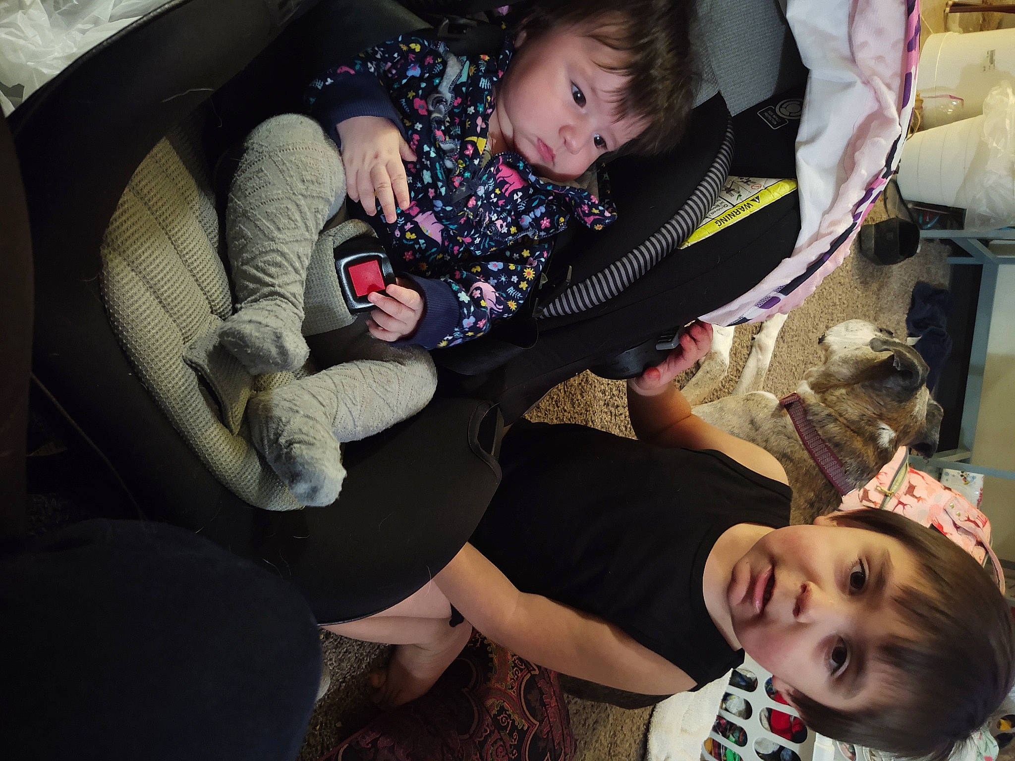 Roney joined the competition — help win amazing prizes! arm, baby, baby_products, black, car_seat, chair, child, comfort, event, family_car, fun, happy, lap, leg, luxury_vehicle, person, product, sitting, smile, thigh