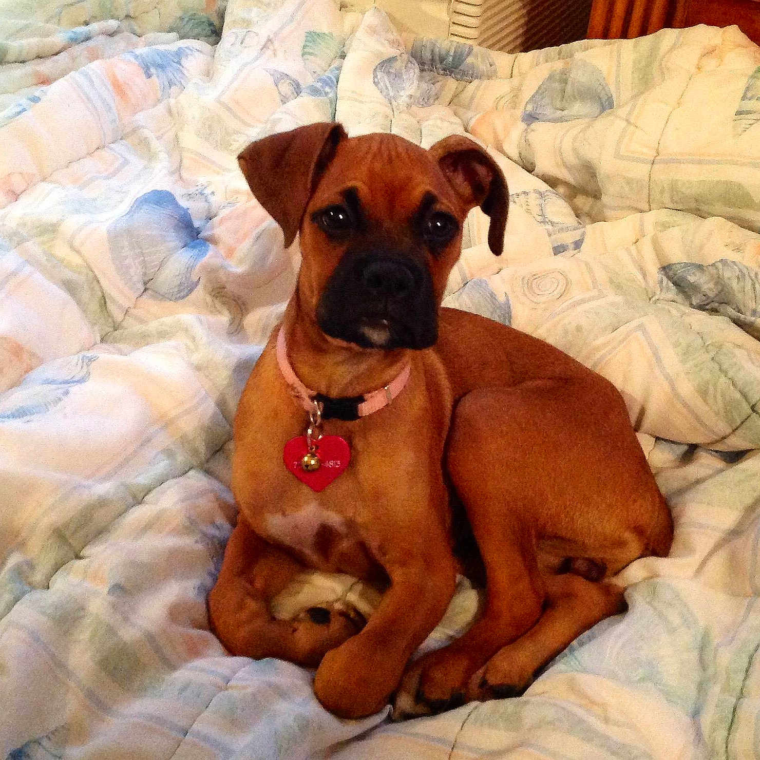 Gracie Mae