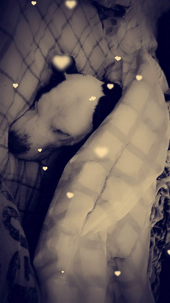 Little Bit joined the competition — help win amazing prizes! arm, chest, cloud, darkness, eye, feather, flash_photography, gesture, head, human_body, human_leg, jaw, leg, monochrome, monochrome_photography, shadow, still_life_photography, tints_and_shades, tree, wing