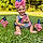 Oaklee