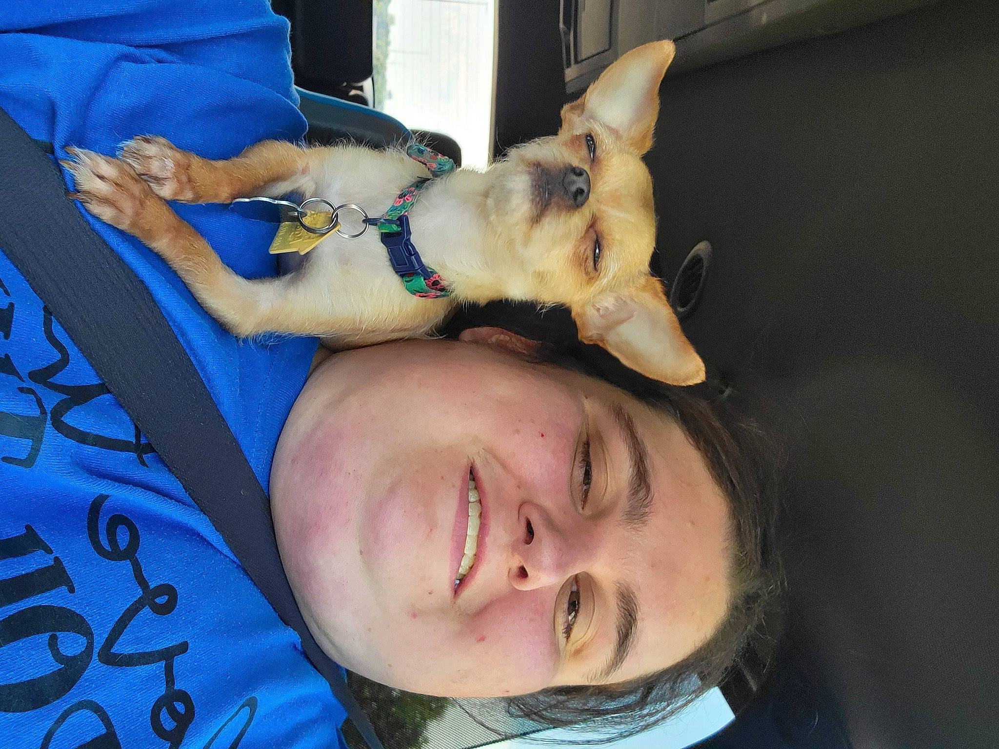 Angel joined the competition — help win amazing prizes! blue, canidae, carnivore, comfort, companion_dog, dog, dog_breed, ear, electric_blue, eyelash, fawn, felidae, fun, gesture, jaw, mouth, selfie, small_to_medium_sized_cats, smile, trunk