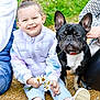 Lya participe au concours pour gagner de l'argent avec cette photo : child, girl, smiling, daisy, flowers, sitting, outdoors, grass, dog, french_bulldog, pet, black_dog, portrait, jacket, sneakers, holding_flowers, happy, family, casual_clothing, nature
