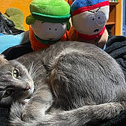 Arlo joined the competition — help win amazing prizes! cat, gray_cat, plush_toy, stuffed_animal, bedroom, blanket, indoor, relaxed, cozy, feline, pet, toy, orange_wall, furniture, curious, sleepy, whiskers, tail, resting, soft