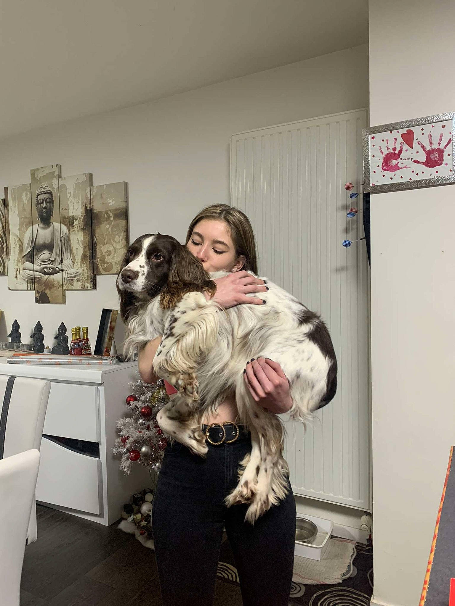 Tito participe au concours pour gagner de l'argent avec cette photo : bookcase, carnivore, comfort, companion_dog, dog, dog_breed, event, eyewear, fashion_design, fawn, flooring, fun, fur, grey, happy, living_room, picture_frame, room, shelf, sporting_group