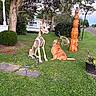 dog, golden_retriever, skeleton, skeleton_dog, pumpkins, halloween, outdoor, front_yard, grass, lawn, trees, house, road, sidewalk, garden_lights, planter, american_flag, pet, spooky, carved_wood