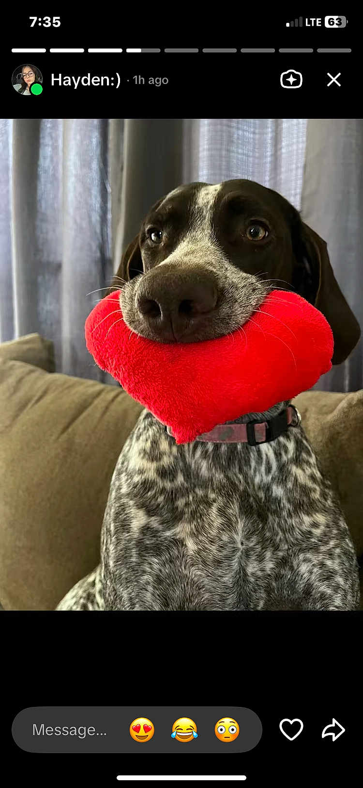 Lucy
