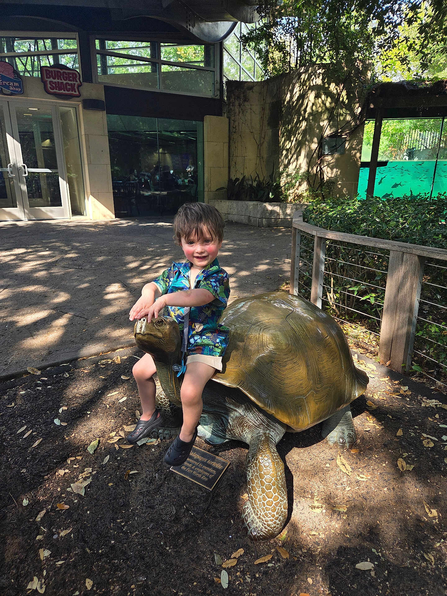Killian is registered to the contest to win money with this photo: child, statue, tortoise, outdoor, shade, sunlight, building, sign, burger_shack, greenery, leaves, plaque, concrete, happy, shorts, shirt, shoes, person, playing, park