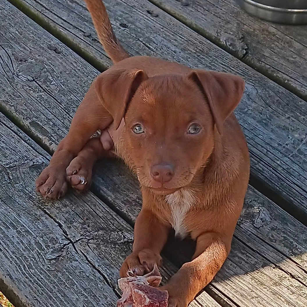 Copper