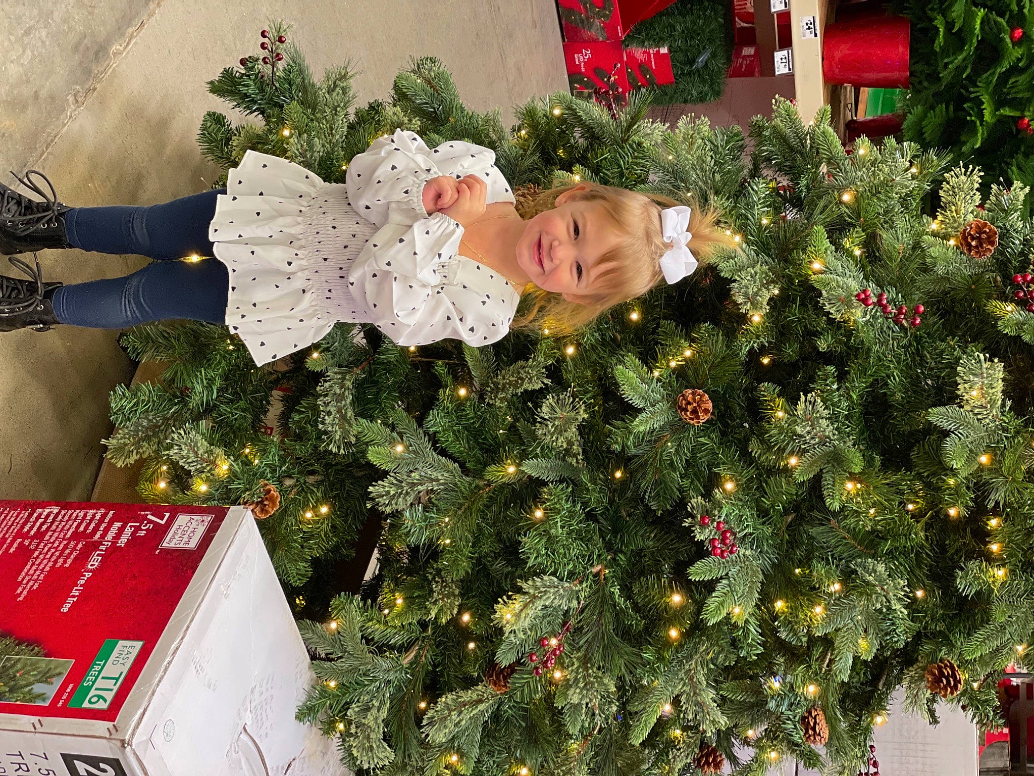 Sophia is registered to the contest to win money with this photo: annual_plant, christmas, christmas_decoration, christmas_eve, christmas_ornament, christmas_tree, conifer, event, evergreen, floral_design, floristry, green, holiday, holiday_ornament, interior_design, joy, ornament, person, plant, red