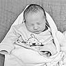 baby, blanket, child, clothing, cozy, cute, cute_character, fabric, face, indoors, infant, monochrome, newborn, peaceful, portrait, resting, sleeping, soft, toddler, wrapped