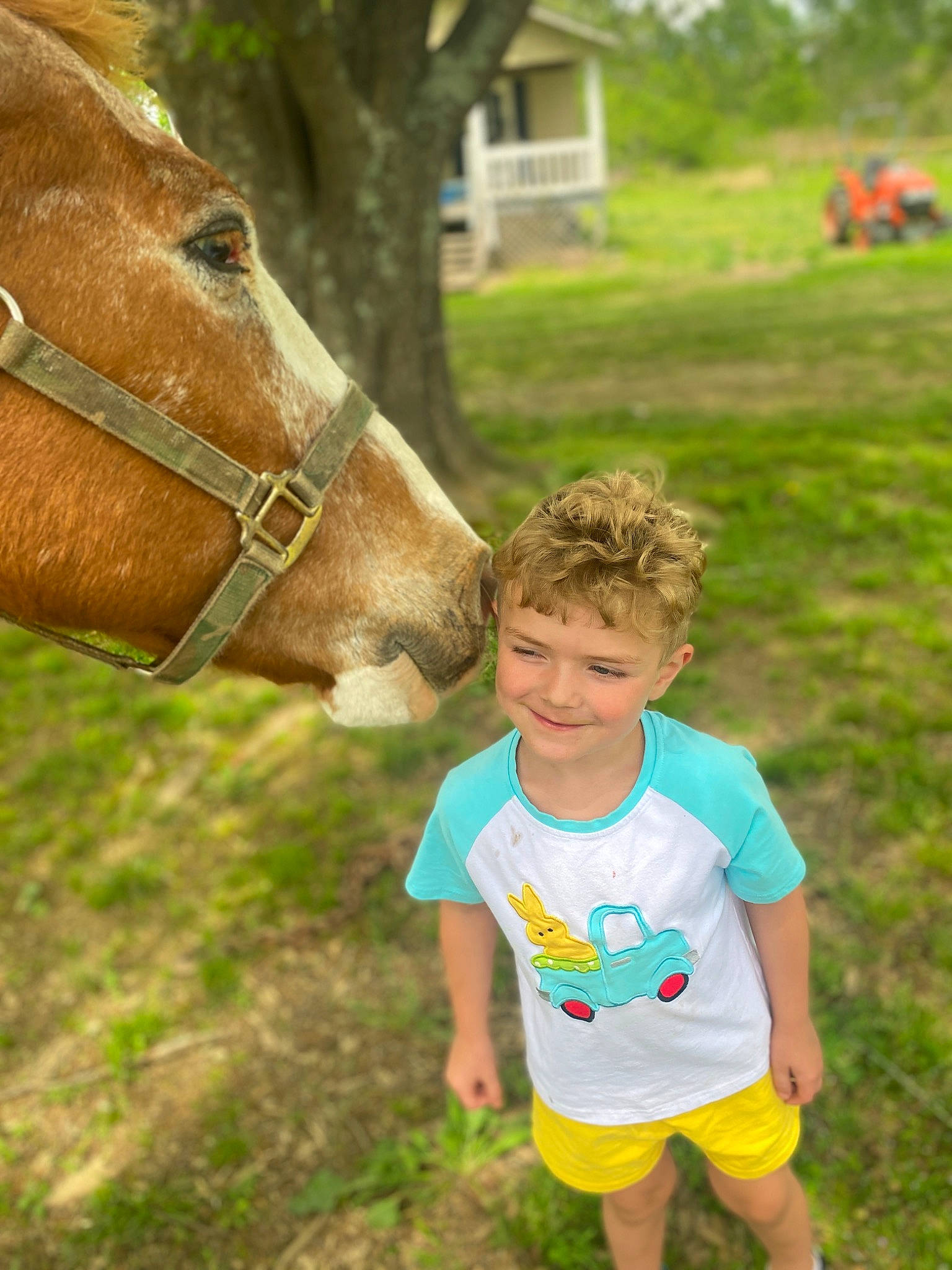 Kaizer is registered to the contest to win money with this photo: eye, facial_expression, fawn, gesture, grass, grassland, green, hair, happy, horse, horse_supplies, joy, leisure, liver, nature, people_in_nature, person, smile, summer, toddler