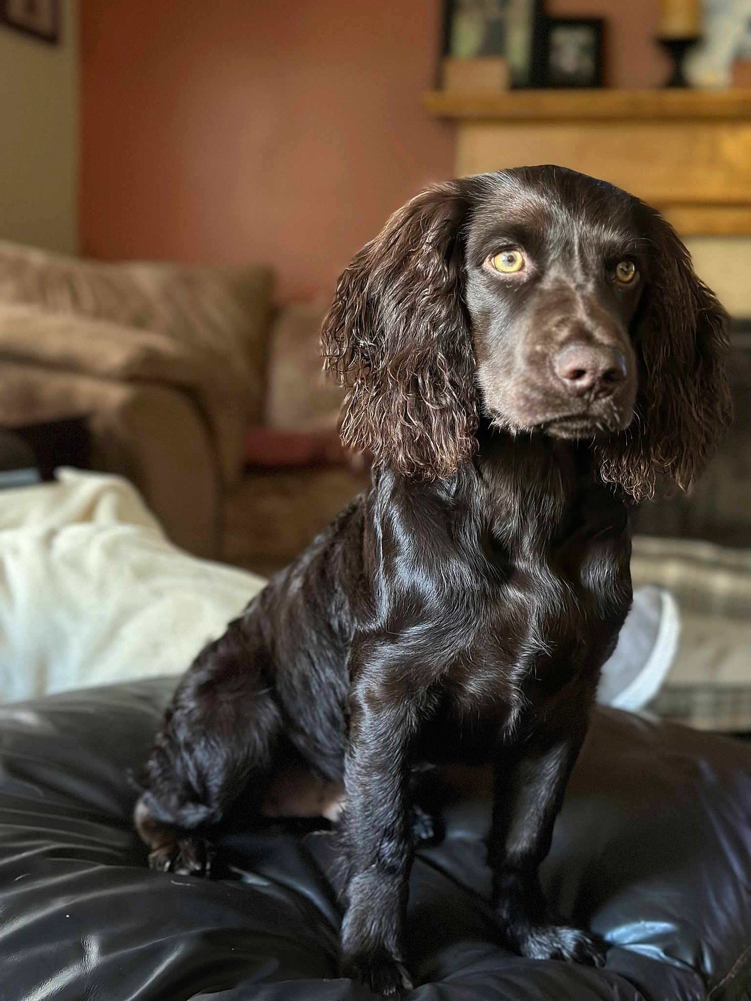 Monty