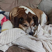 Lily joined the competition — help win amazing prizes!