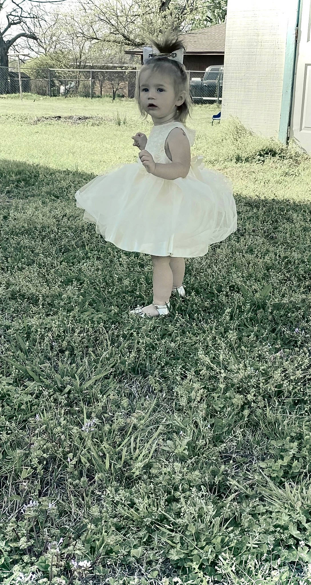 Mason is registered to the contest to win money with this photo: bridal_accessory, bridal_party_dress, dress, flash_photography, garden, gown, grass, grassland, happy, human_leg, lawn, meadow, pattern, people_in_nature, person, petal, photograph, plant, soil, toddler