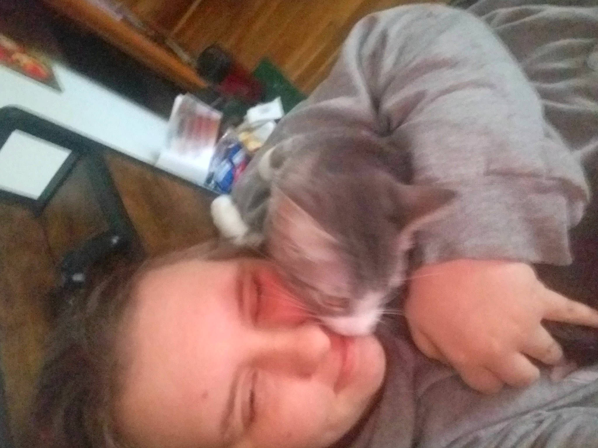 Wednesday joined the competition — help win amazing prizes! carnivore, cat, cheek, comfort, ear, eyelash, fawn, felidae, fun, gesture, happy, jaw, nail, nose, small_to_medium_sized_cats, smile, throat, thumb, whiskers, wrist