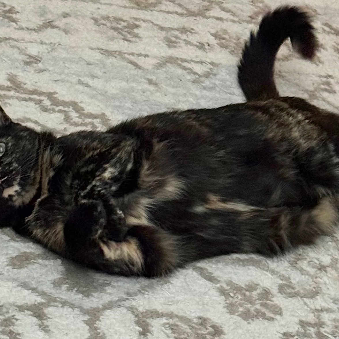 Louise