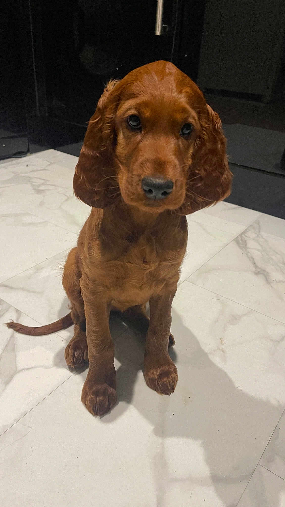 Ruby