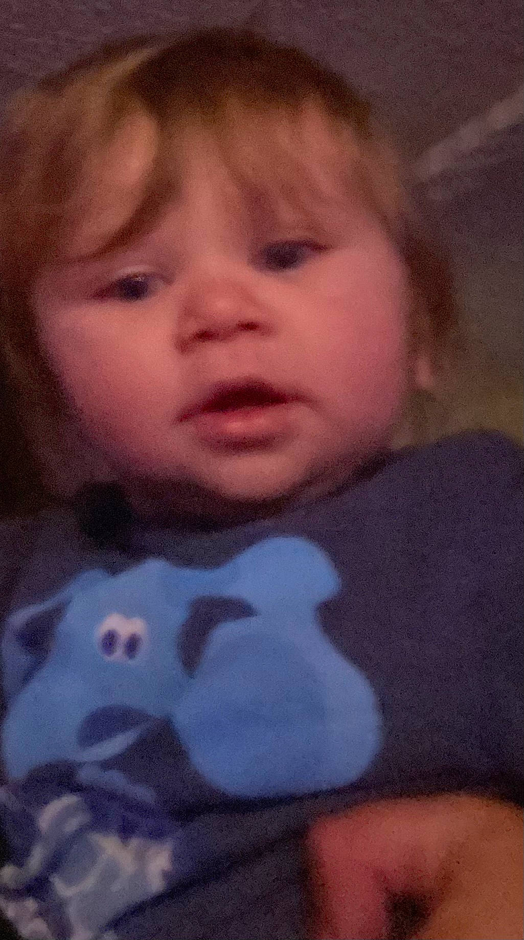 Goku is registered to the contest to win money with this photo: baby, beauty, cheek, child, chin, ear, eyebrow, eyelash, forehead, fun, hairstyle, happy, human_body, iris, lip, mouth, nose, person, plant, skin