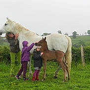 Escapade El Hourya participe au concours pour gagner de l'argent avec cette photo :