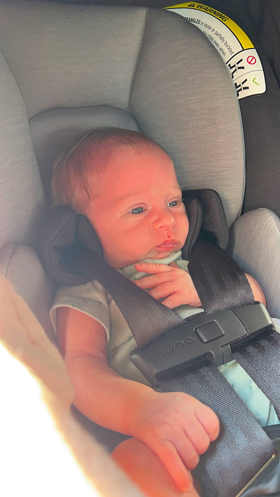 Charleston is registered to the contest to win money with this photo: arm, auto_part, baby, baby_in_car_seat, car_seat, chair, cheek, child, chin, comfort, facial_expression, finger, head, lap, leg, mouth, person, seat_belt, skin, thumb