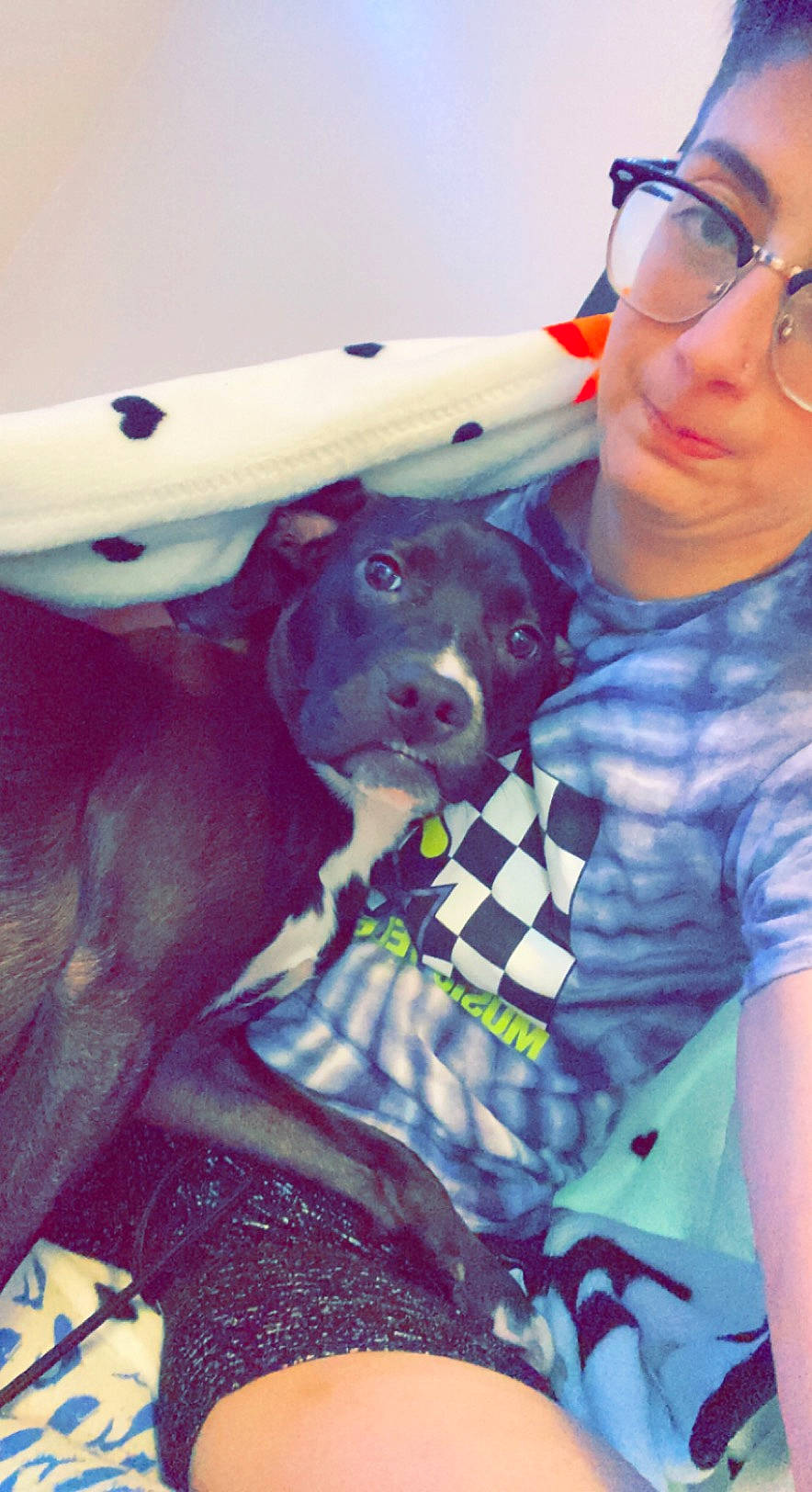 Cleo joined the competition — help win amazing prizes! carnivore, companion_dog, dog, dog_breed, electric_blue, event, eyewear, fawn, fun, fur, gesture, glasses, happy, plaid, purple, snout, sporting_group, sunglasses, vision_care, working_animal