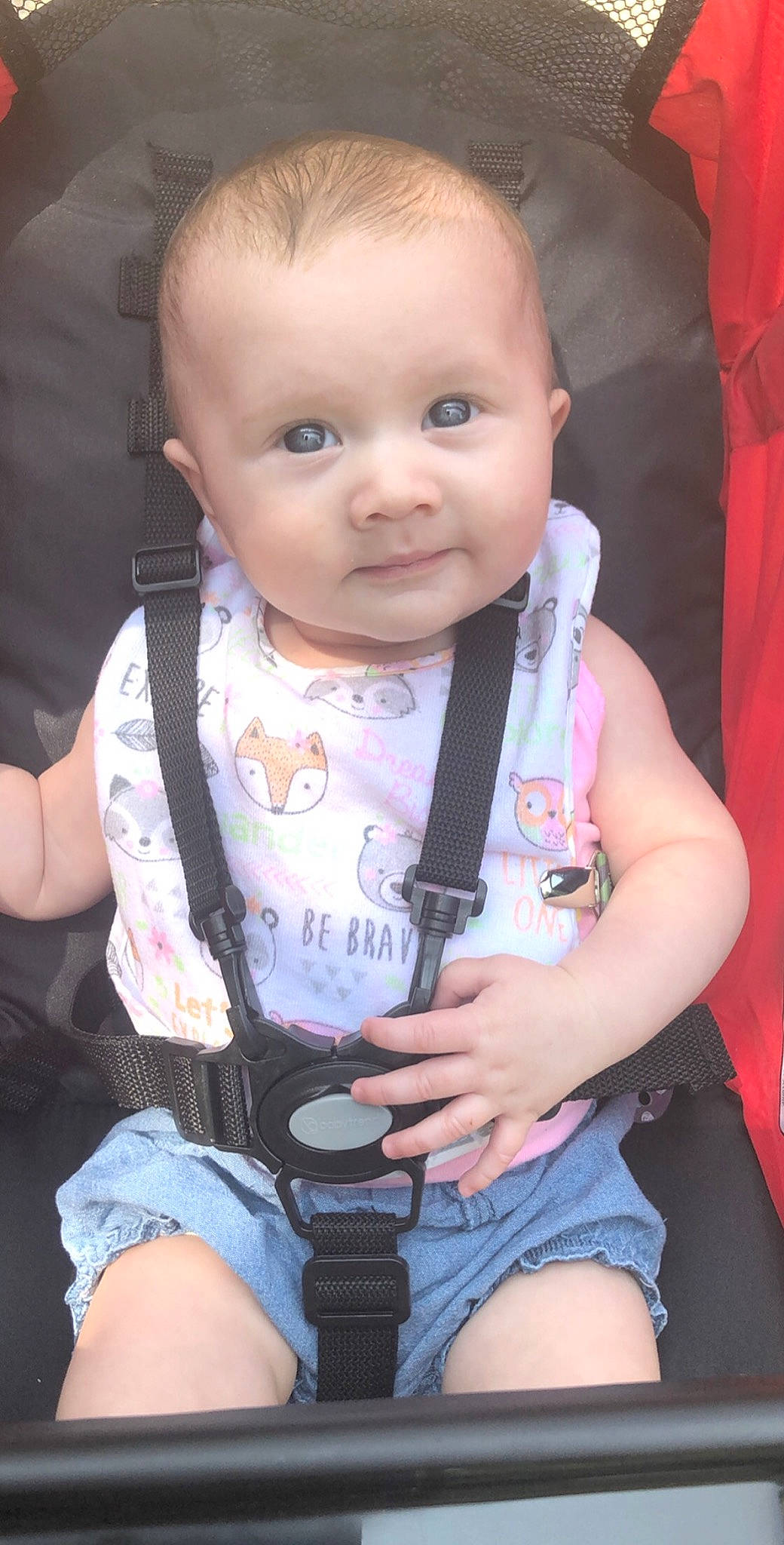 Briar joined the competition — help win amazing prizes! auto_part, baby, baby_carriage, baby_products, cheek, child, head, person, product, sitting, skin, toddler