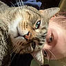 cat, tabby_cat, pet, animal, person, selfie, portrait, close_up, whiskers, green_eyes, fur, striped_fur, nose, ears, face, cuddling, indoors, home, cozy, human_companion