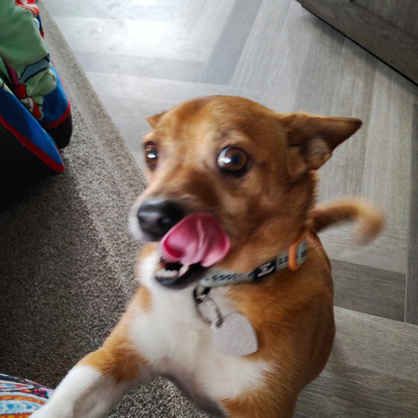 Peanut