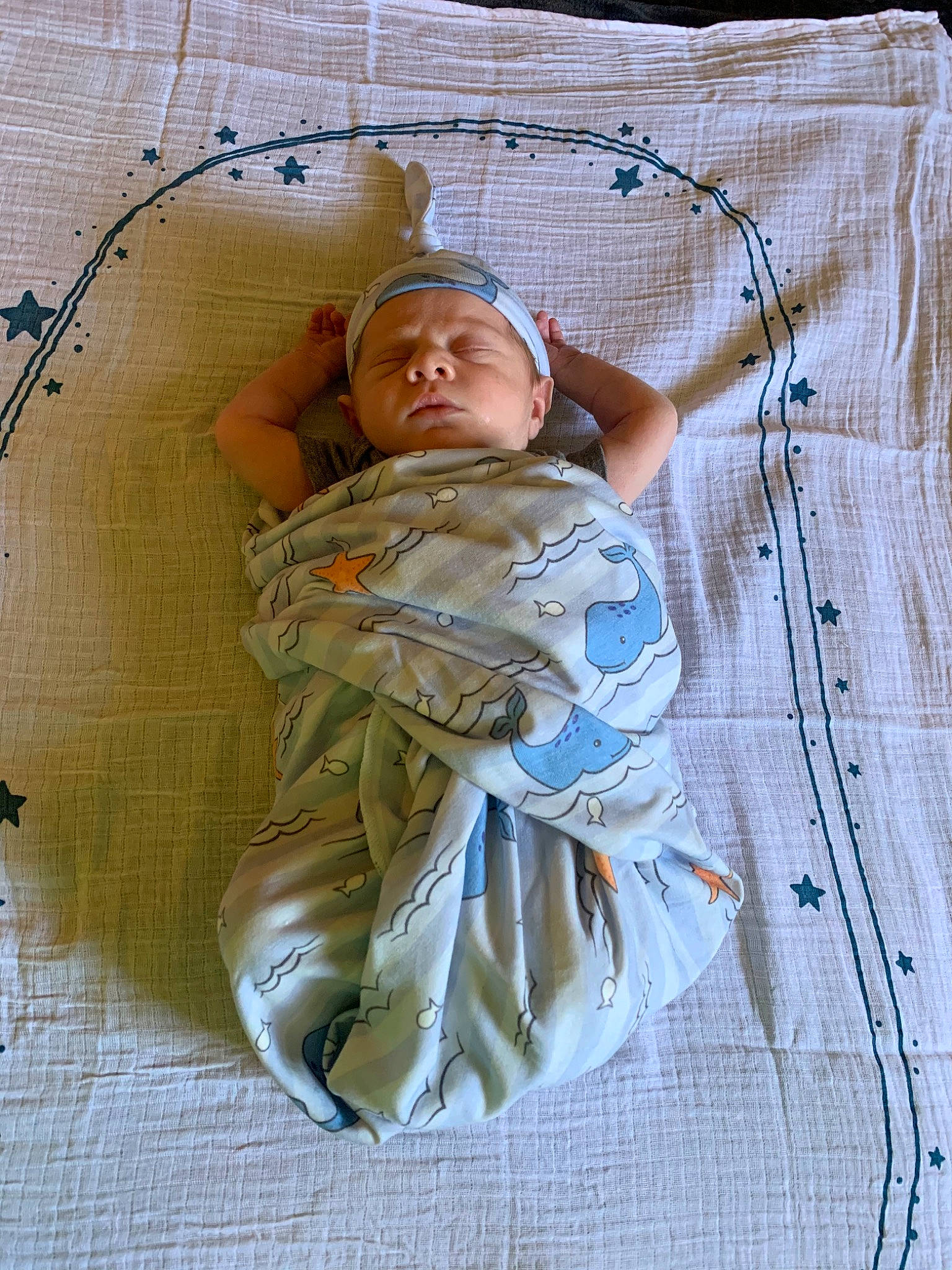 Osiris joined the competition — help win amazing prizes! baby, child, linens, pattern, person, textile