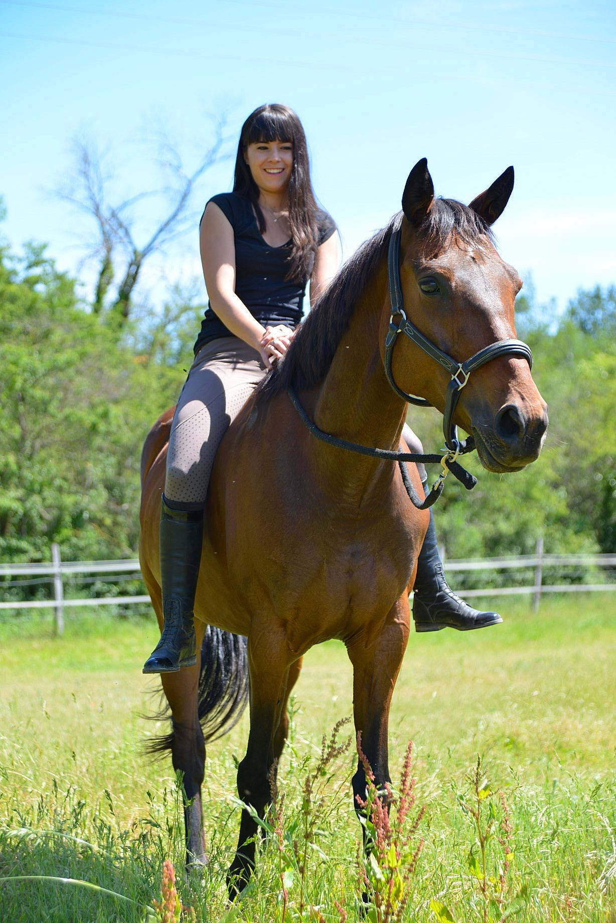 After a rejoint le concours — aidez-le/la à gagner de superbes lots ! animal_sports, bridle, equestrian, equestrian_sport, equestrianism, equitation, halter, horse, horse_supplies, horse_tack, mammal, mane, mare, mustang_horse, outdoor_recreation, recreation, rein, saddle, stallion, vertebrate