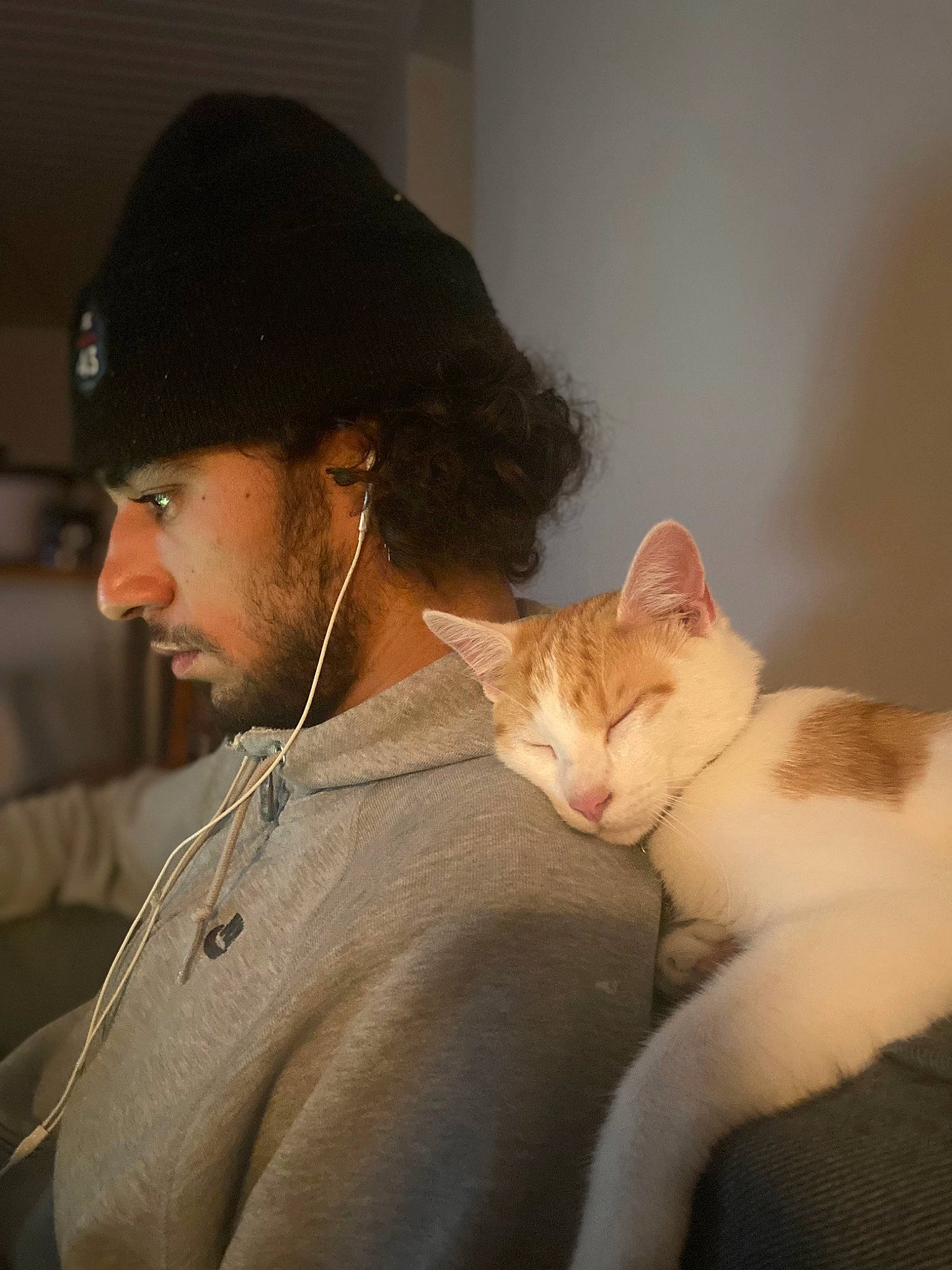 Trunks a rejoint le concours — aidez-le/la à gagner de superbes lots ! baseball_cap, beard, cap, carnivore, cat, comfort, domestic_short_haired_cat, ear, facial_hair, fashion_accessory, fawn, felidae, fur, gesture, hat, jaw, sitting, small_to_medium_sized_cats, sun_hat, whiskers