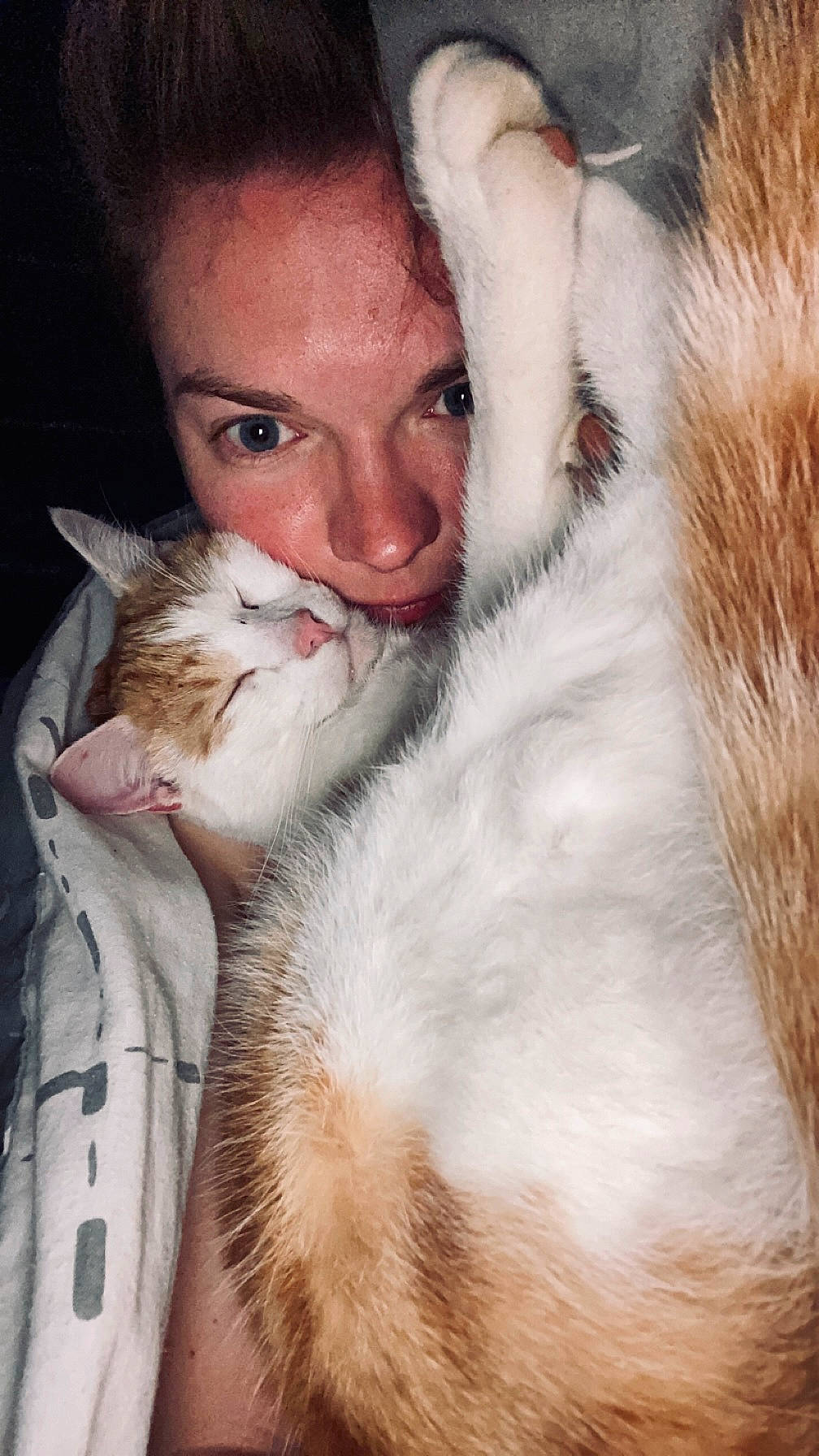 Trunks a rejoint le concours — aidez-le/la à gagner de superbes lots ! beard, carnivore, cat, comfort, domestic_short_haired_cat, ear, eye, fawn, felidae, fur, gesture, hair, head, iris, lap, mammal, nose, small_to_medium_sized_cats, snout, whiskers