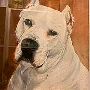 Nix participe au concours pour gagner de l'argent avec cette photo : animal, artwork, brown_background, canvas, closeup, cozy, dog, drawing, ears, expression, eyes, frame, gentle, indoor, nose, pastel_painting, pet, portrait, soft_colors, white_dog