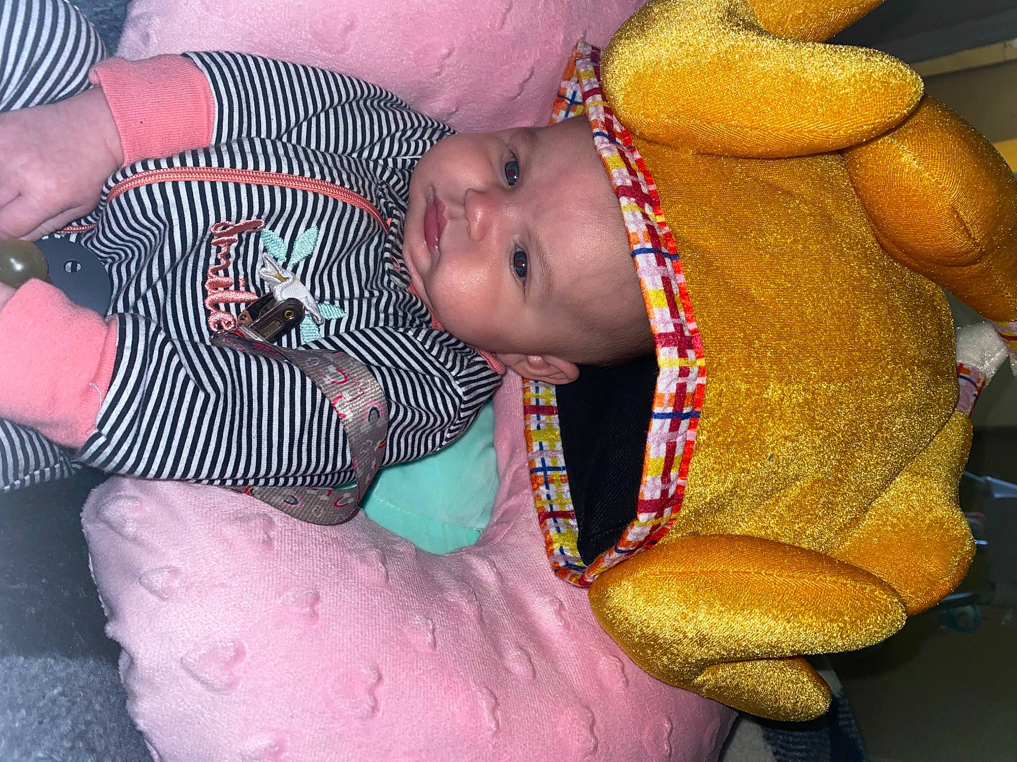 April is registered to the contest to win money with this photo: abdomen, baby, baby_products, baby_toddler_clothing, cheek, child, comfort, eye, finger, fun, happy, head, jewellery, mouth, nail, nose, pattern, person, thigh, toddler