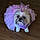Cookie