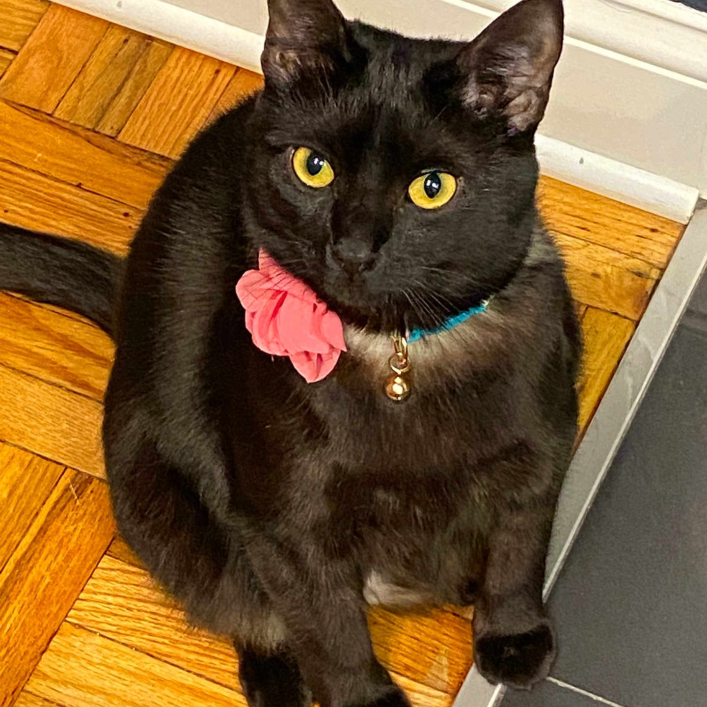 Luna