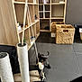 kitten, black_cat, toy_mouse, scratching_post, indoor, floor, tile_floor, shelves, wooden_shelves, basket, woven_basket, pet_toy, curious, playful, cat, animal, feline, pet, home, room