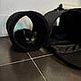 animal, animal_face, black_fur, black_kitten, cat, cozy, curious, cute, domestic, feline, floor_tiles, green_eyes, home, indoor, pet_accessory, pet_carrier, pet_tunnel, quiet, resting, small