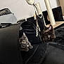 Lunna a rejoint le concours — aidez-le/la à gagner de superbes lots ! kitten, cat, pet_carrier, scratching_post, toy, black_fur, gray_fur, indoor, floor, play, curious, alert, pet, feline, animal, home, carpet, cushion, furniture, room