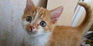 Voyou participe au concours pour gagner de l'argent avec cette photo :
