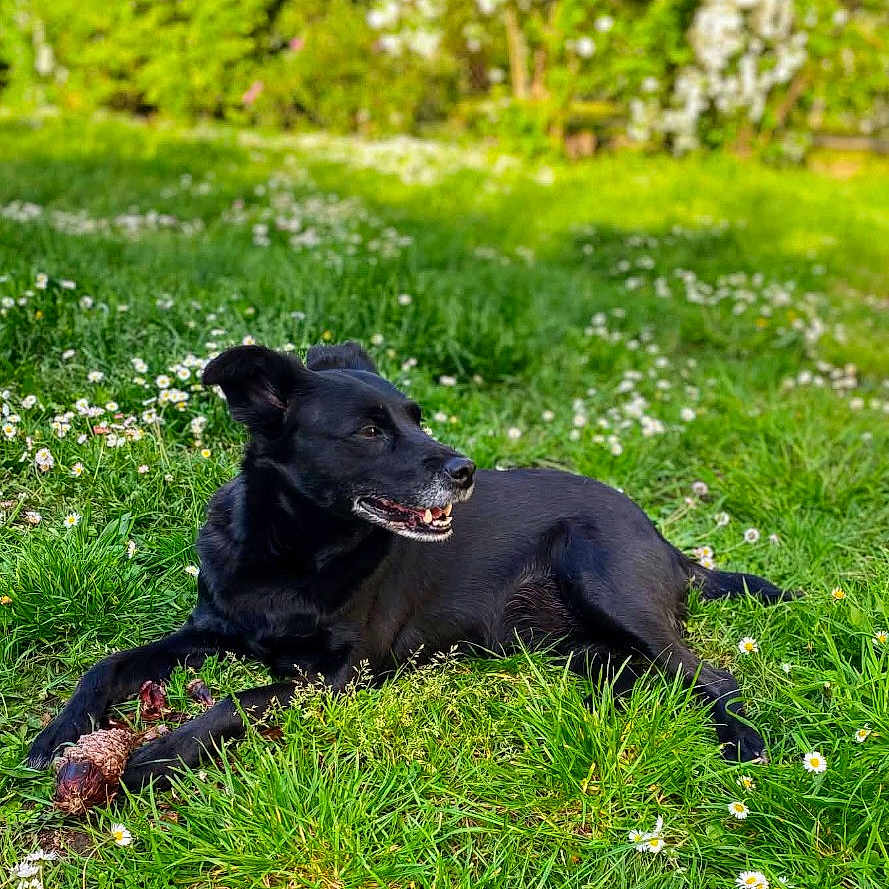 Mia
