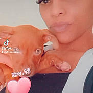 Mila participe au concours pour gagner de l'argent avec cette photo : affection, brown, casual, closeup, cute, dog, expression, face, holding, indoor, love, pet, pink_heart, portrait, puppy, selfie, social_media, text_overlay, woman, young_adult